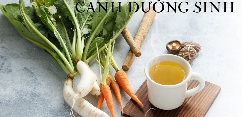 Ngưu bàng là nguyên liệu chính để nấu canh dưỡng sinh