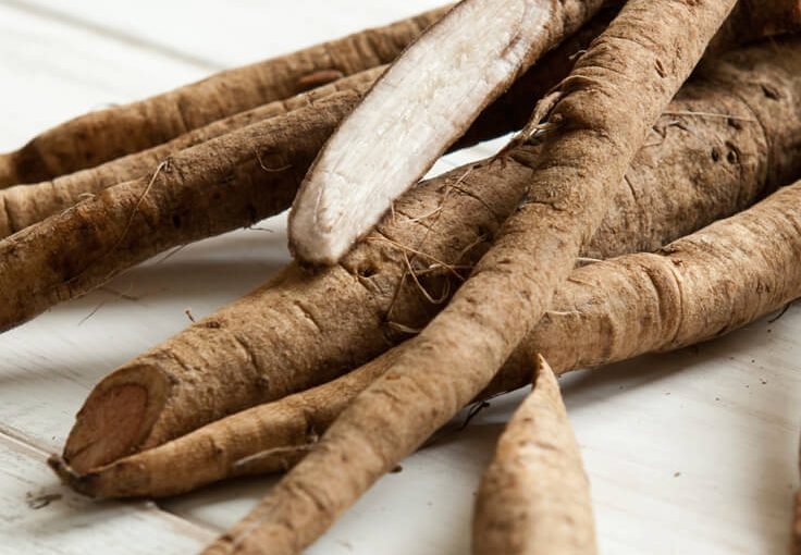 Rễ cây ngưu bàng