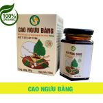 Hộp cao ngưu bàng cô đặc 100%