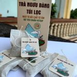 Trà ngưu bàng túi lọc