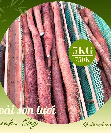 Hoài Sơn Tươi Hữu Cơ