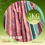 Củ hoài sơn tươi hữu cơ hay còn gọi là khoai mài hữu cơ