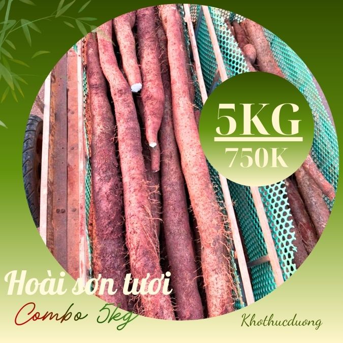 Củ hoài sơn tươi hữu cơ hay còn gọi là khoai mài hữu cơ