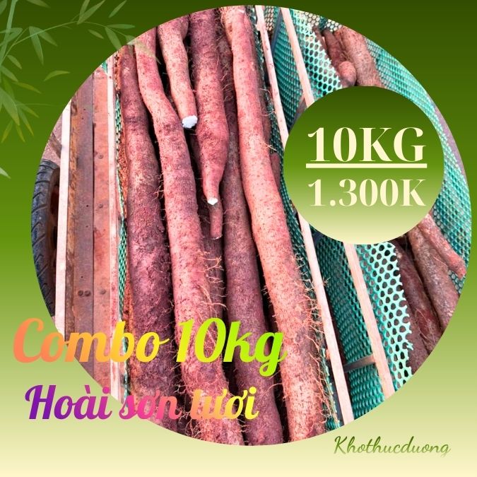 Hoài Sơn Tươi hay còn gọi là củ khoai mài