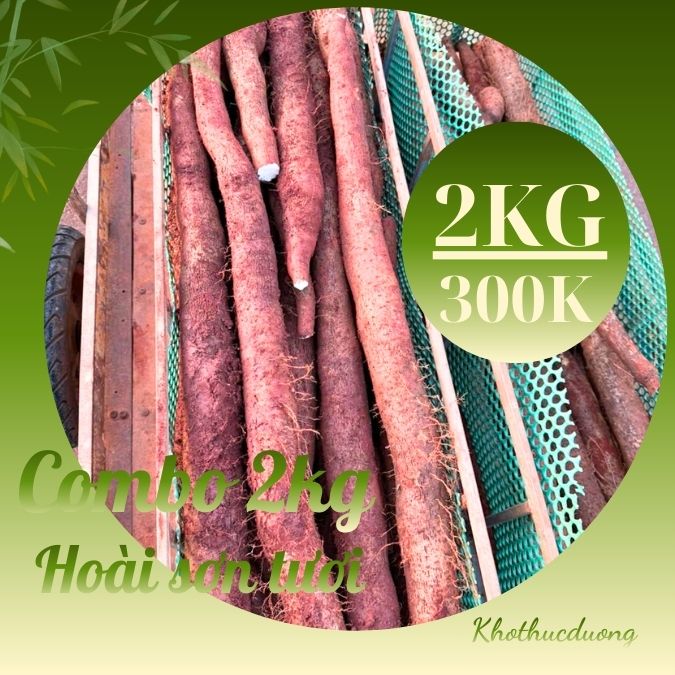 Khoai mài hay củ hoài sơn tươi