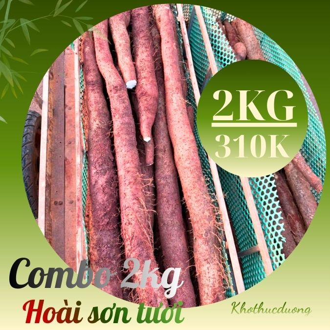 Khoai mài củ hoài sơn tươi hữu cơ